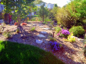 This northwest corner is now an inviting area for grandchildren to play with nature. 